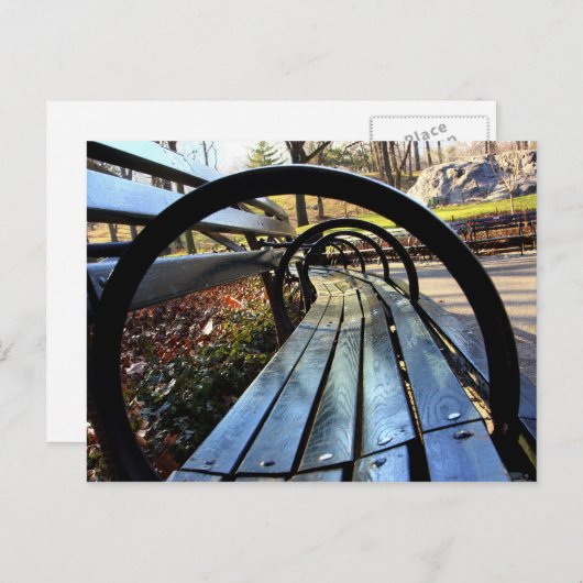 Einzigartige Parkbank, Central Park, NYC Postkarte (Vorne/Hinten)