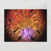 Einzigartige Postkarte (Vorderseite)