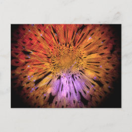 Einzigartige Postkarte