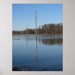 Einzigartige Reflexion Poster