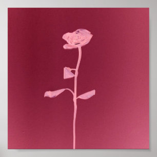 EINZIGARTIGE ROSE POSTER