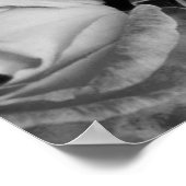 Einzigartige Schönheit Poster (Ecke)