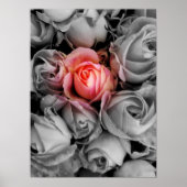 Einzigartige Schönheit Poster (Vorne)