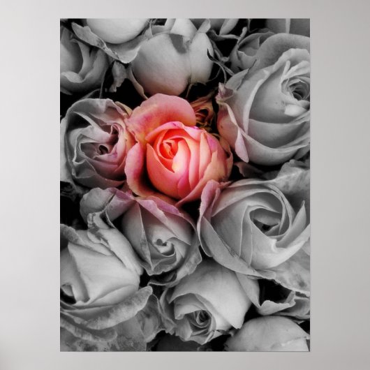 Einzigartige Schönheit Poster (Vorne)