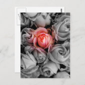 Einzigartige Schönheit Postkarte (Vorne/Hinten)