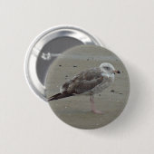 Einzigartige Seagull steht allein auf dem Sand Oce Button (Vorne & Hinten)