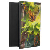 Einzigartige Sonnenblume (Rückseite)