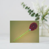 Einzigartige Toilettenbürste Postkarte (Stehend Vorderseite)