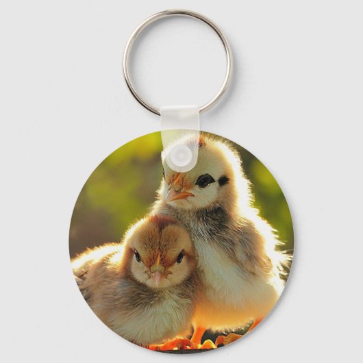 Einzigartige und stilvolle Schlüsselketten Schlüsselanhänger (Vorderseite)