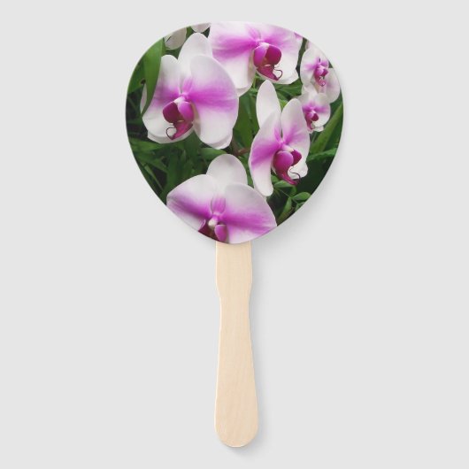 Einzigartige weiße Orchideen mit rosa Blüten auf e Fächer (Vorderseite)