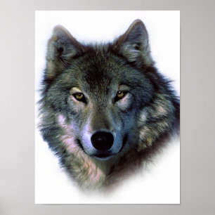 Einzigartige Wolfsaugen-Kunstwerk Freiheitsplakat Poster