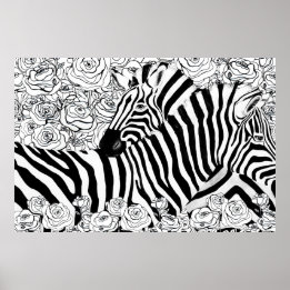 Einzigartige Zebras Poster
