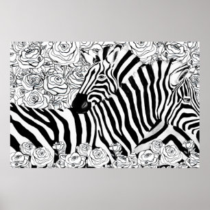 Einzigartige Zebras Poster