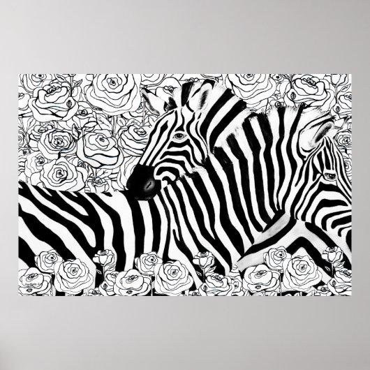 Einzigartige Zebras Poster (Vorne)