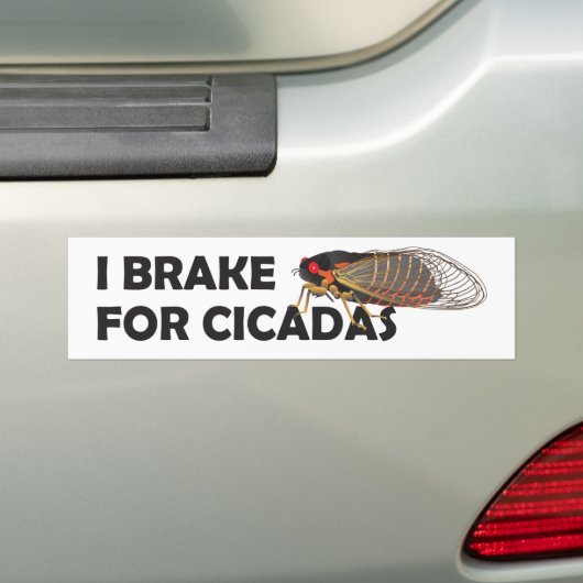 Einzigartiger Autoaufkleber "I Bremse for Cicadas" (Auf Auto)