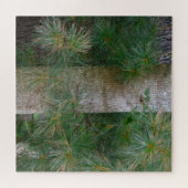 Einzigartiger Kiefernbaum Puzzle (Horizontal)