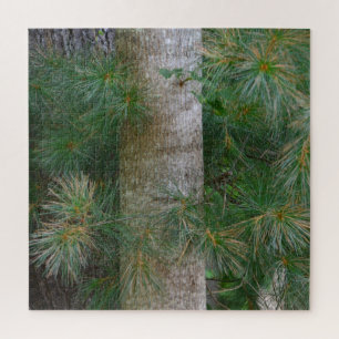 Einzigartiger Kiefernbaum Puzzle
