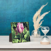 Einzigartiger Lila und weißer Streifen Fotoplatte (InSitu)