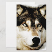 Einzigartiger Motivierend Wolf Briefpapier (Vorne/Hinten)