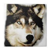 Einzigartiger Motivierend Wolf Fliese (Vorderseite)