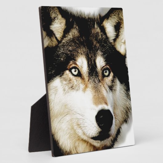 Einzigartiger Motivierend Wolf Fotoplatte (Seite)