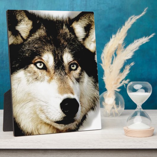 Einzigartiger Motivierend Wolf Fotoplatte (Seite)