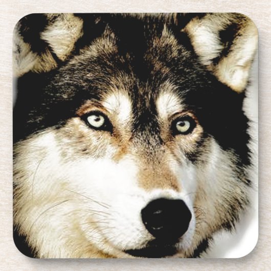 Einzigartiger Motivierend Wolf Getränkeuntersetzer (Vorderseite)