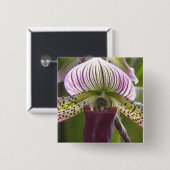 Einzigartiger Orchideen-Knopf Button (Vorne & Hinten)