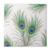 Einzigartiger Pfau versieht Muster mit Federn Fliese (Vorderseite)