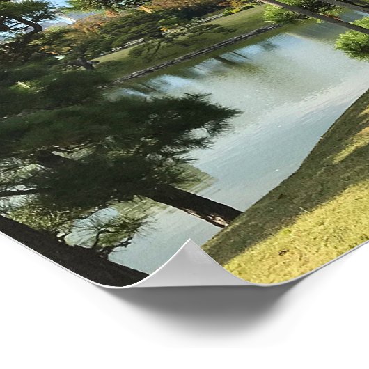 Einzigartiger Pinienbaum Poster (Ecke)