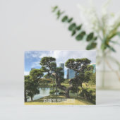 Einzigartiger Pinienbaum Postkarte (Stehend Vorderseite)