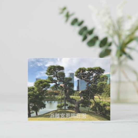 Einzigartiger Pinienbaum Postkarte (Stehend Vorderseite)