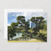 Einzigartiger Pinienbaum Postkarte (Vorne/Hinten)