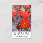 Einzigartiger Real Anwesen Agent Broker Red Cactus Visitenkarte (Vorderseite)