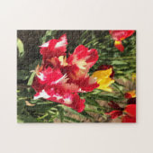 Einzigartiger Rot-Weiß-Tulip Puzzle (Horizontal)
