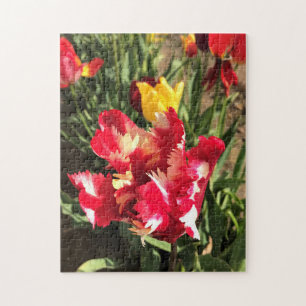 Einzigartiger Rot-Weiß-Tulip Puzzle