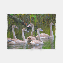 Einzigartiger Swan Fleecedecke