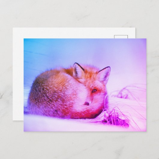 *~* Einzigartiger Tierroter Fox Ap18 Artistische W Postkarte (Vorne/Hinten)