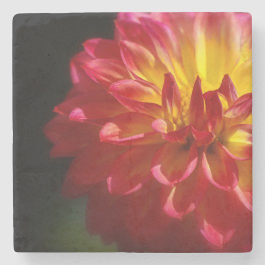 Einzigartiger Untersetzer für Blume (Vorderseite)