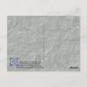 Einzigartiges Blue Three Rabbits Hares Tile Mural Postkarte (Rückseite)