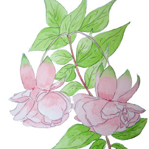 einzigartiges Blumenbild hübscher rosa Blume Kaffeetasse