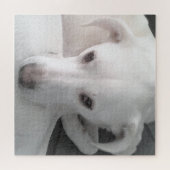 Einzigartiges Foto von White Labrador Retriever Mi Puzzle (Horizontal)