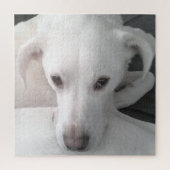 Einzigartiges Foto von White Labrador Retriever Mi Puzzle (Vertikal)