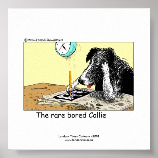 Einzigartiges Funny Border Collie Poster (Vorne)