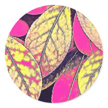 Einzigartiges gefiltertes Foto