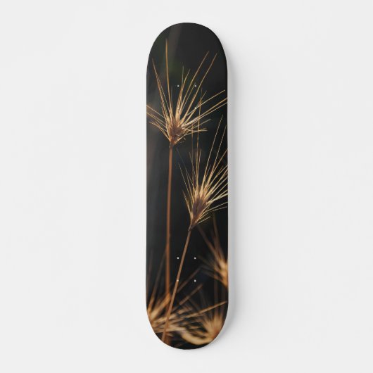 Einzigartiges Kurzes Bursting von Wildgras Skateboard (Vorne)