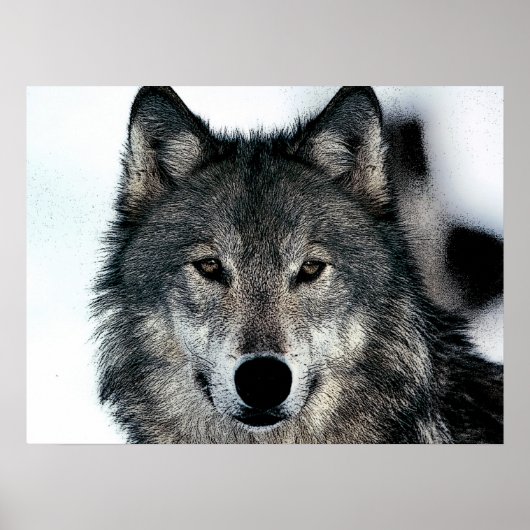 Einzigartiges Motivierend Freedom Wolf Poster (Vorne)