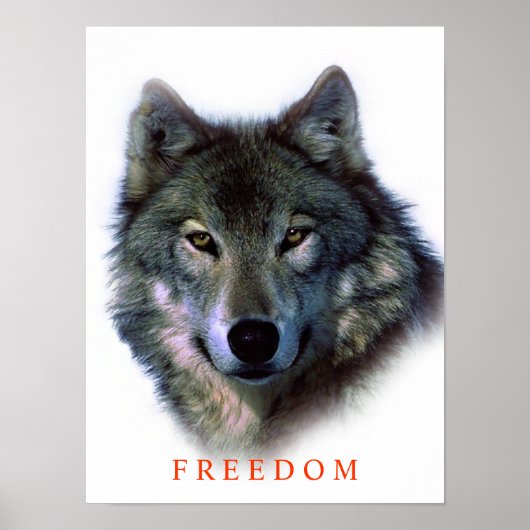 Einzigartiges Motivierend Freedom Wolf Poster (Vorne)