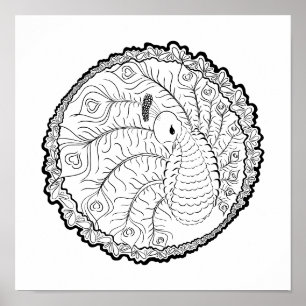 Einzigartiges Pfauenkunst-Farbplakat Poster