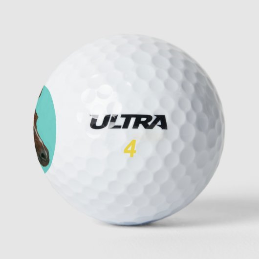 Einzigartiges Pferdegemälde Golfball (Logo)